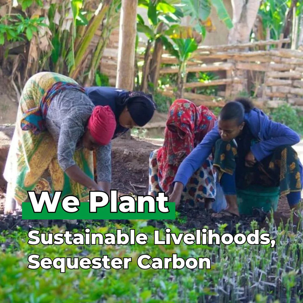 You Plant We Plant Tree Pouch, Grow a Tree and We'll Plant 500 More