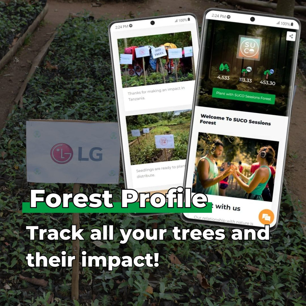 Every Forest Starts From a Single Seed – Tree Kit - We Plant 20 Trees-4